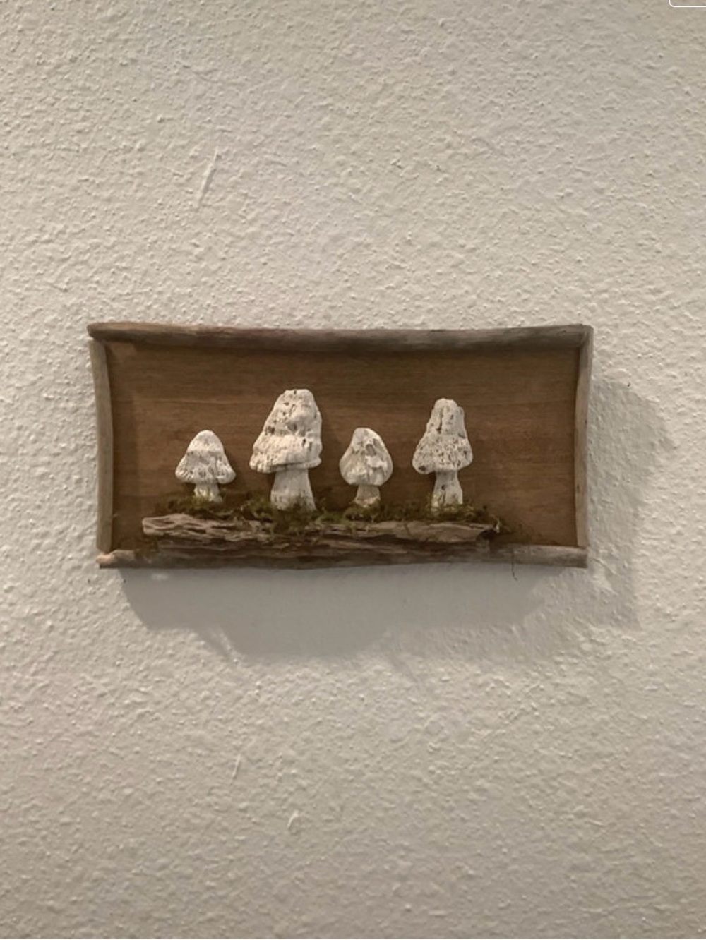 Driftwood Art, Driftwood & Seashell Mushroom Art, Mushroom Wall Art Decor